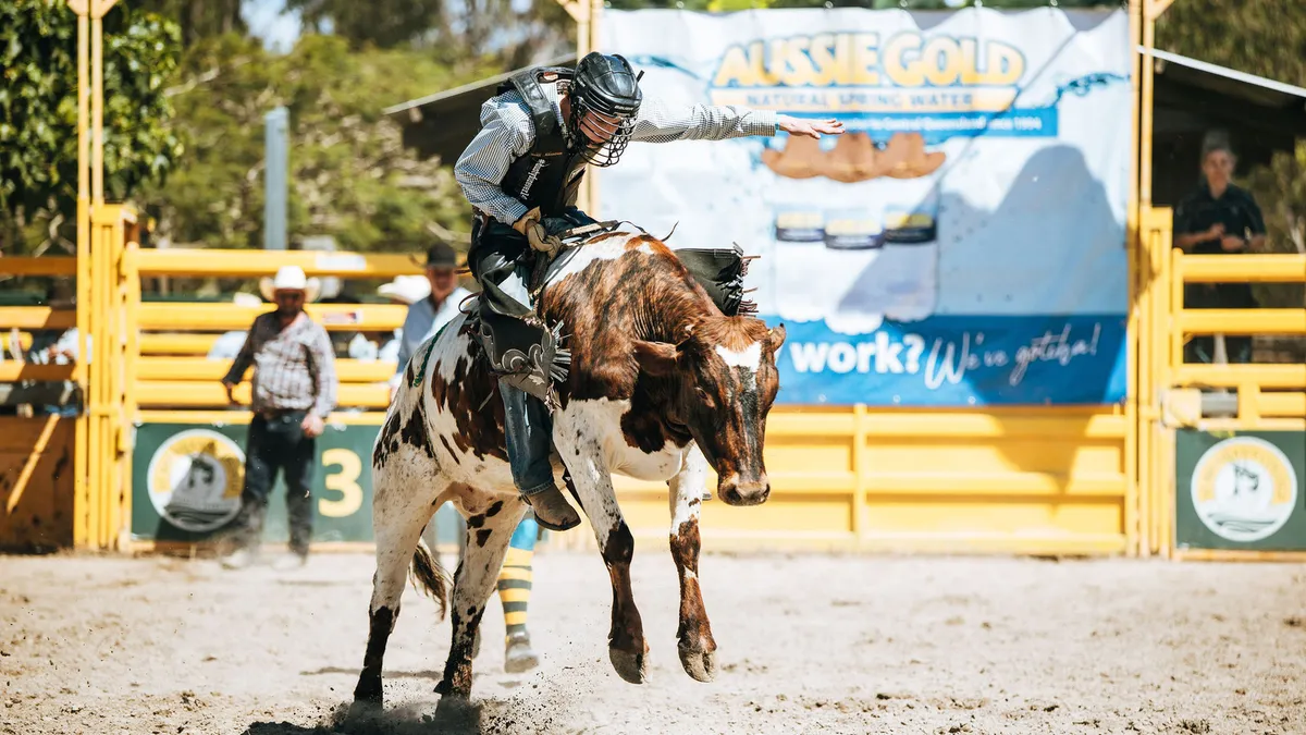 A young rider on a bucking steer in the arena at the St Brendan's College rodeo